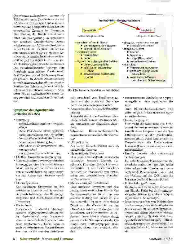 Vorschauseite 3: Aus dem Bauch heraus