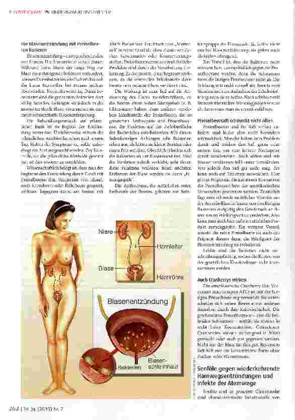 Vorschauseite 3: Pflanzliche Antibiotika: Eine sanfte Alternative?