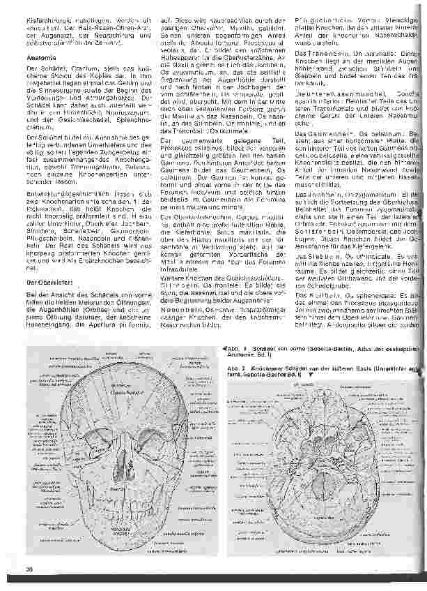 Vorschauseite 2: Zahn-, Mundund Kieferchirurgie 1. Folge: Definition/Anatomie (Knochen, Muskeln, Gefäße, Nerven, Drüsen)