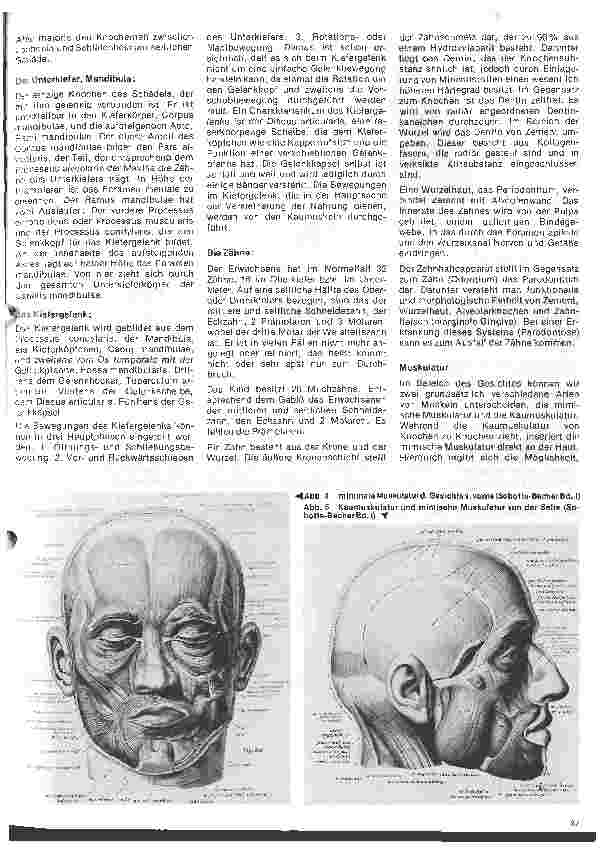 Vorschauseite 3: Zahn-, Mundund Kieferchirurgie 1. Folge: Definition/Anatomie (Knochen, Muskeln, Gefäße, Nerven, Drüsen)
