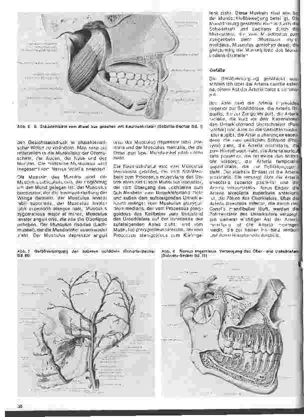 Vorschauseite 4: Zahn-, Mundund Kieferchirurgie 1. Folge: Definition/Anatomie (Knochen, Muskeln, Gefäße, Nerven, Drüsen)