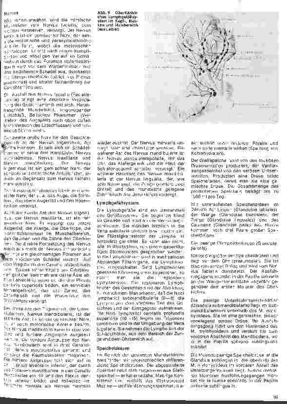 Vorschauseite 5: Zahn-, Mundund Kieferchirurgie 1. Folge: Definition/Anatomie (Knochen, Muskeln, Gefäße, Nerven, Drüsen)