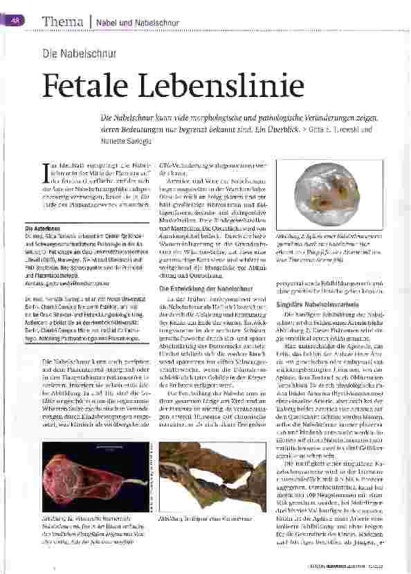 Vorschauseite 1: Fetale Lebenslinie