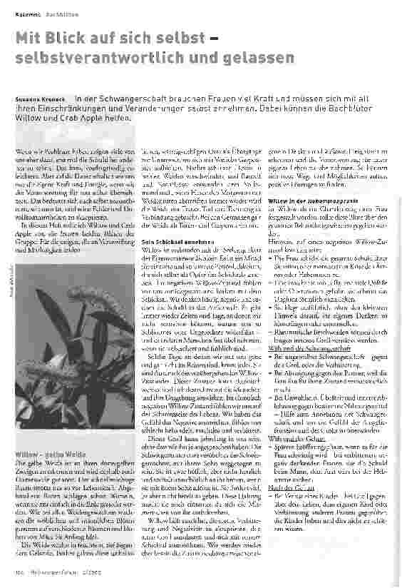 Vorschauseite 1: Mit Blick auf sich selbstselbstverantwortlich und gelassenBachblüten