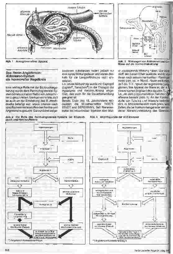 Vorschauseite 2: ACE-Hemmung - ein neues Wirkprinzip bei der Behandlung der Hypertonie und Herzinsuffienz