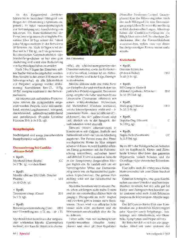 Vorschauseite 3: Die Chronisch Mikrobe Teil 2: Phytotherapeutische Herangehensweise