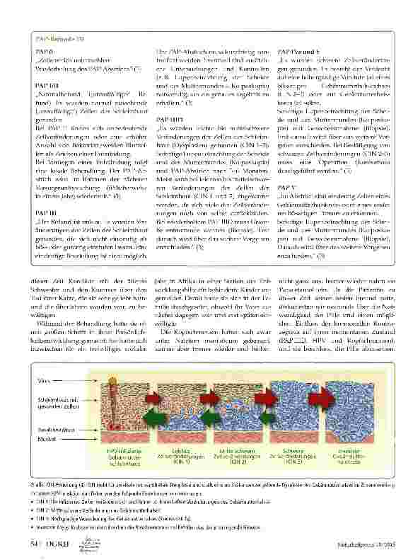 Vorschauseite 3: Wiederholter PAP-IIID-Befund