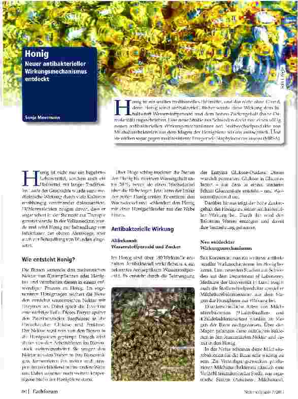 Vorschauseite 1: Honig