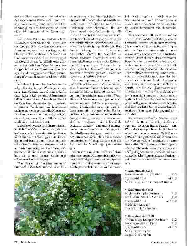 Vorschauseite 3: Liebstöckel