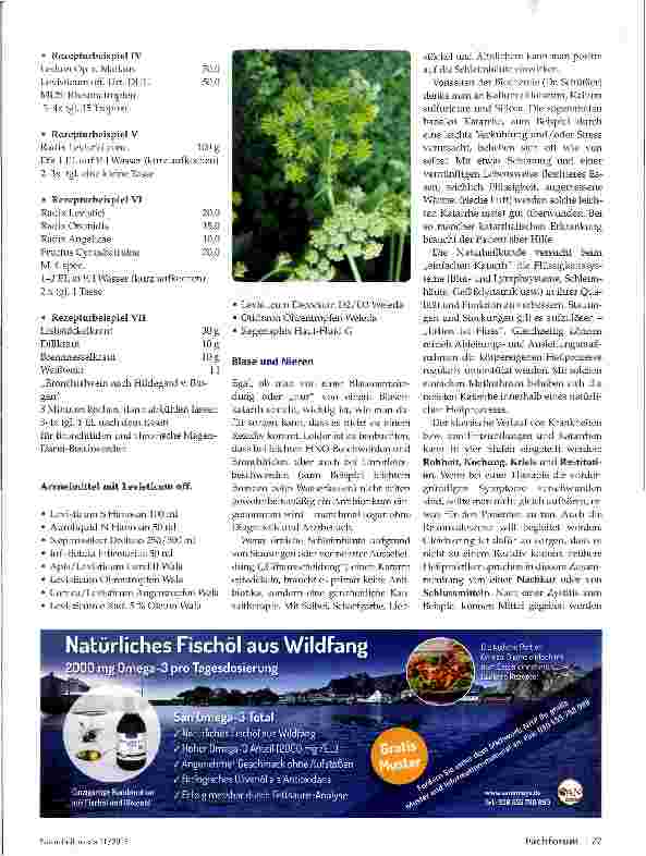 Vorschauseite 4: Liebstöckel