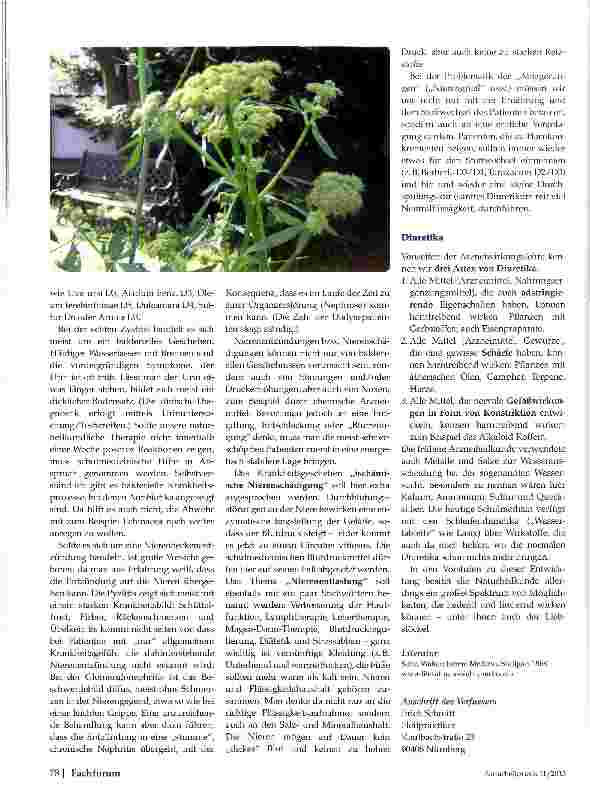Vorschauseite 5: Liebstöckel