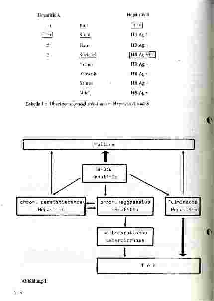 Vorschauseite 4: Virushepatitis A und B
