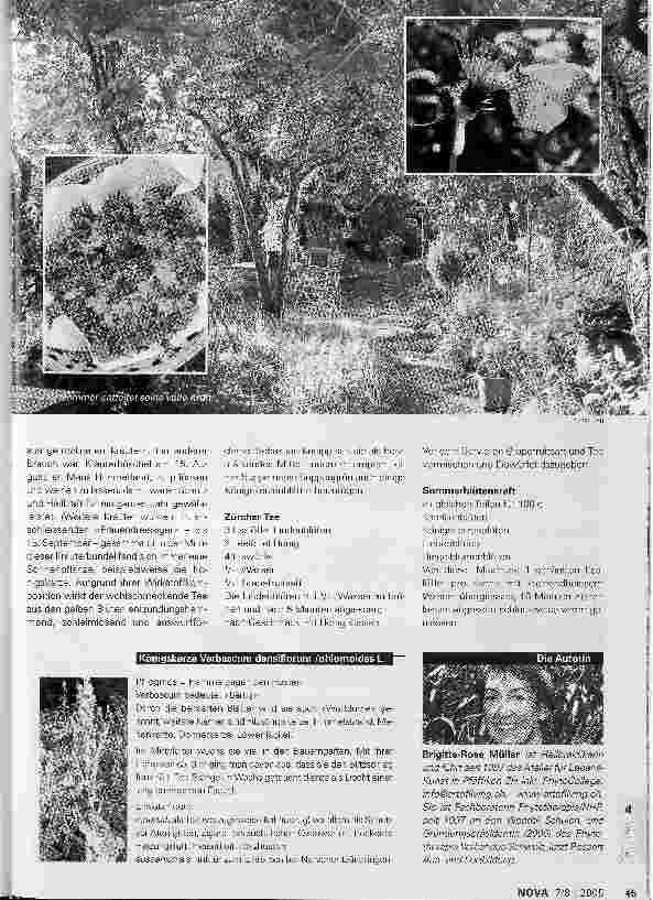 Vorschauseite 2: was die natur im Sommer bereithält