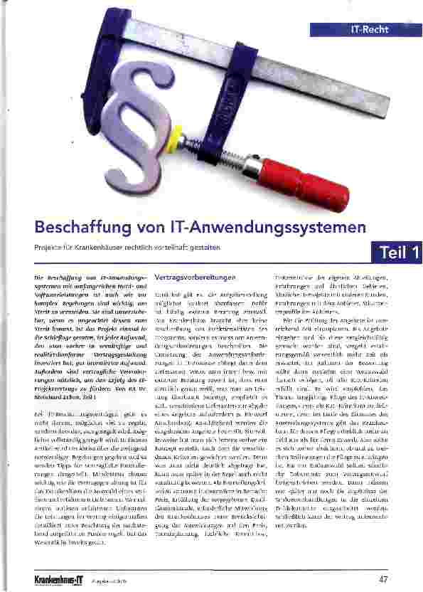 Vorschauseite 1: Beschaffung von IT-Anwendungssystemen