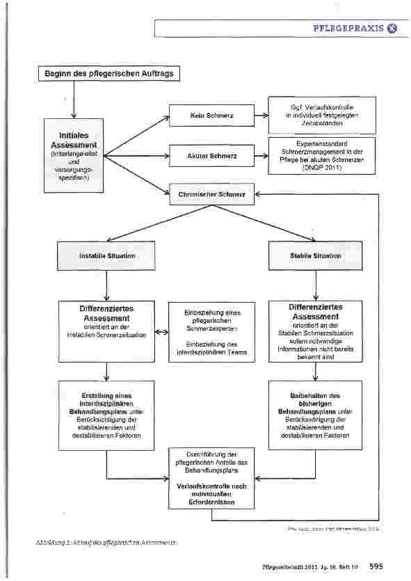 Vorschauseite 3: Der DNOP Expertenstandard „Schmerzmanagement in der Pflege bei chronischen SchmerzenVon der Entwicklung zur Implementierung