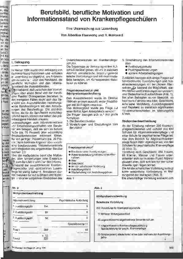 Vorschauseite 1: Berufsbild, berufliche Motivation und Informationsstand von Krankenpflegeschülern