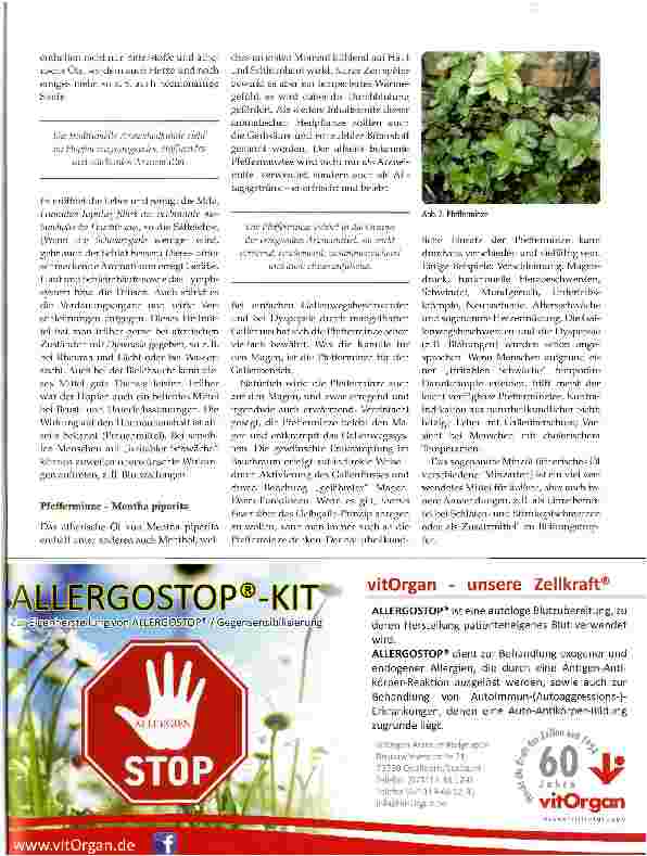 Vorschauseite 4: Aromatika