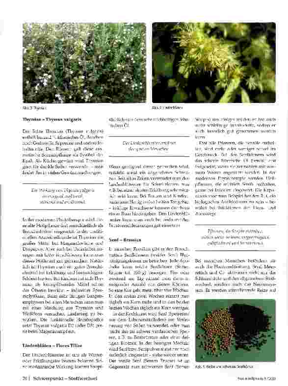 Vorschauseite 5: Aromatika