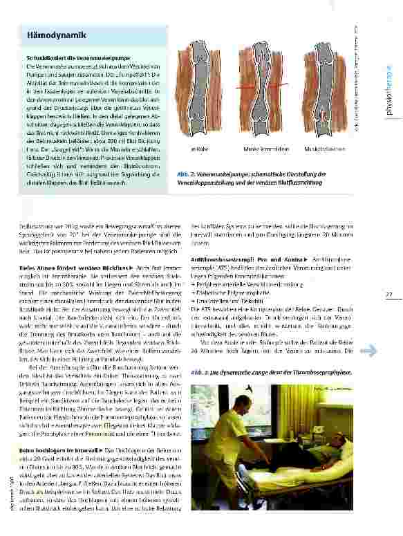 Vorschauseite 2: Postoperative Thromboseprophylaxe Den Blutfluss beschleunigen