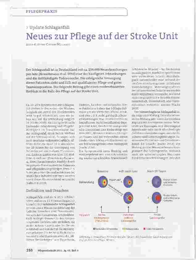 Vorschauseite 1: Update Schlaganfall Neues zur Pflege auf der Stroke Unit