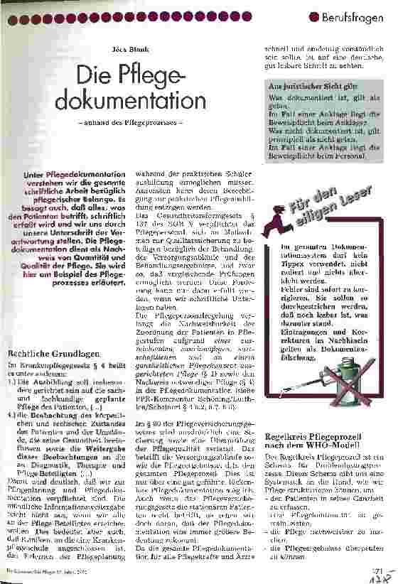 Vorschauseite 1: Die Pflegedokumentation anhand des Pflegeprozesses
