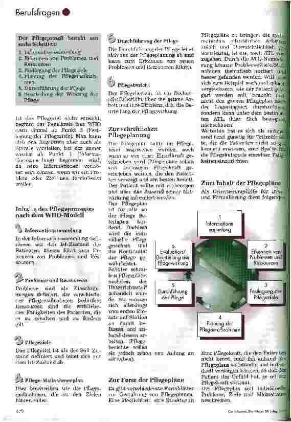 Vorschauseite 2: Die Pflegedokumentation anhand des Pflegeprozesses