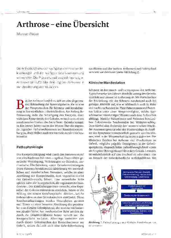 Vorschauseite 1: Arthrose - eine Übersicht