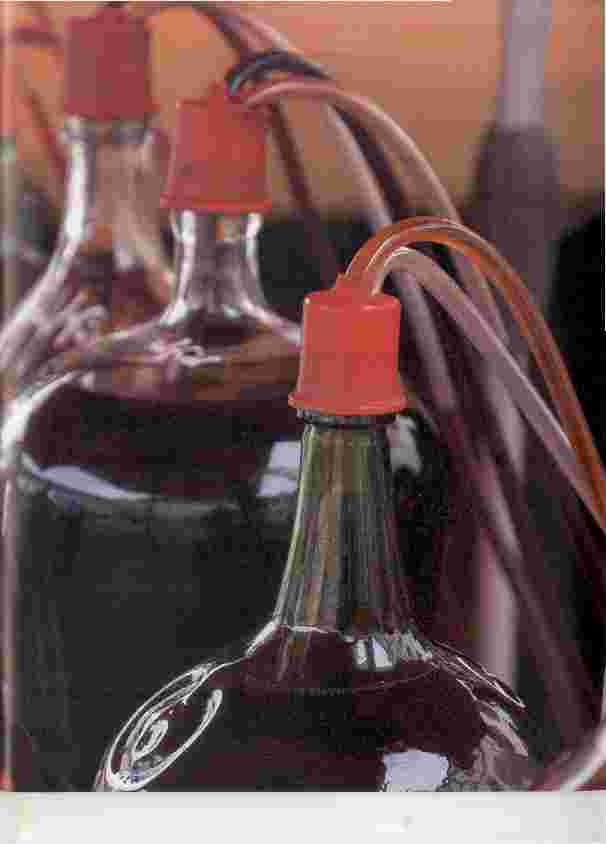 Vorschauseite 2: ALTER WEIN IN NEUEN SCHLÄUCHEN?