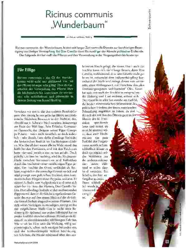 Vorschauseite 1: Ricicinus communis „Wunderbaum