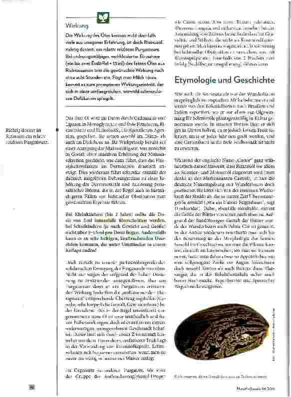 Vorschauseite 2: Ricicinus communis „Wunderbaum
