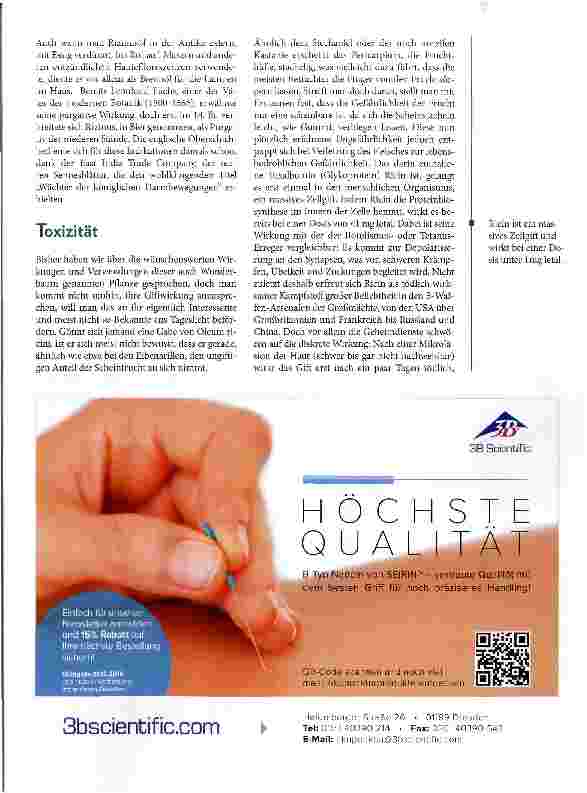 Vorschauseite 3: Ricicinus communis „Wunderbaum