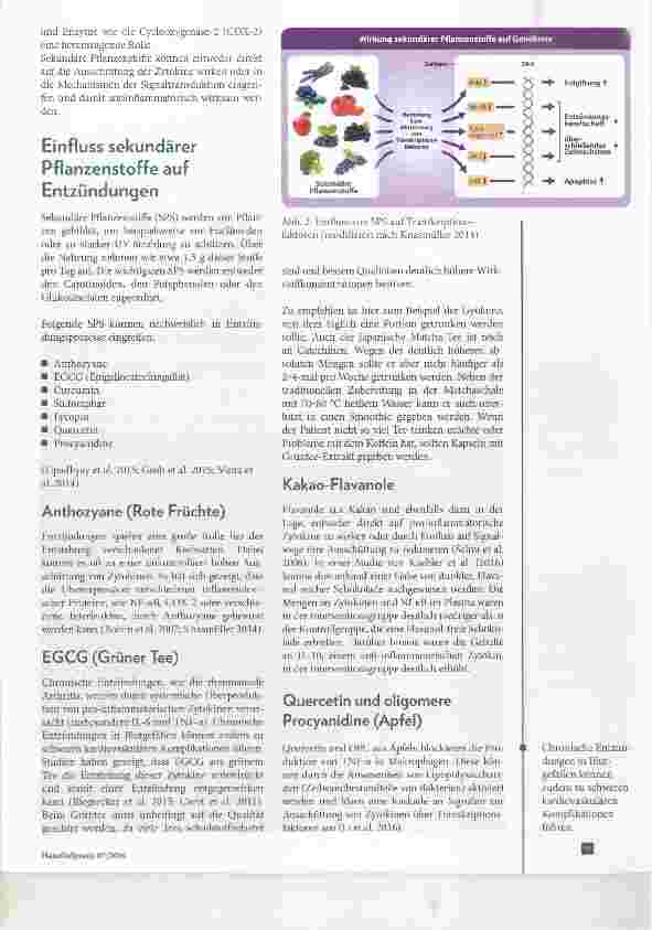 Vorschauseite 2: Silent Inflammation Der Einfluss sekundärer Pflanzenstoffe auf Entzündungsreaktionen