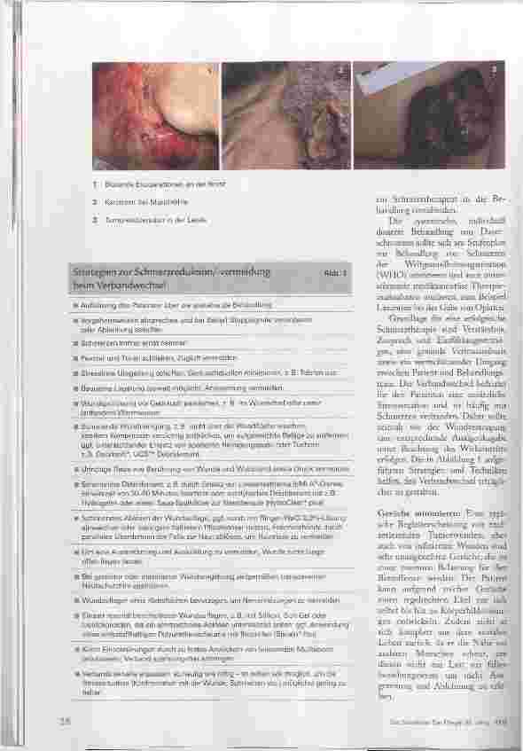 Vorschauseite 3: Physisch und emotional extrem belastend