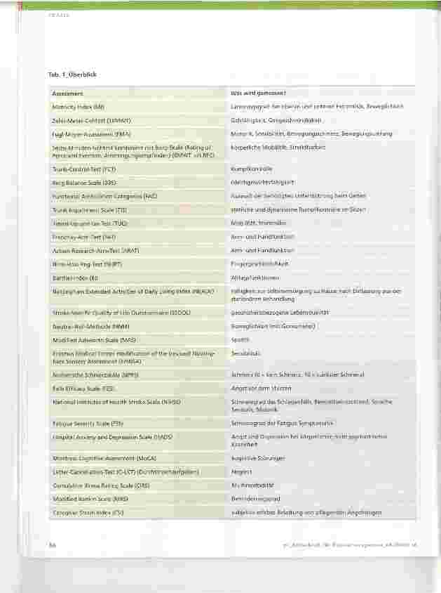 Vorschauseite 2: Schlaganfall: neue Empfehlungen für Assessments