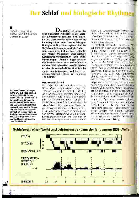 Vorschauseite 1: Der Schlaf und biologische Rhythmen