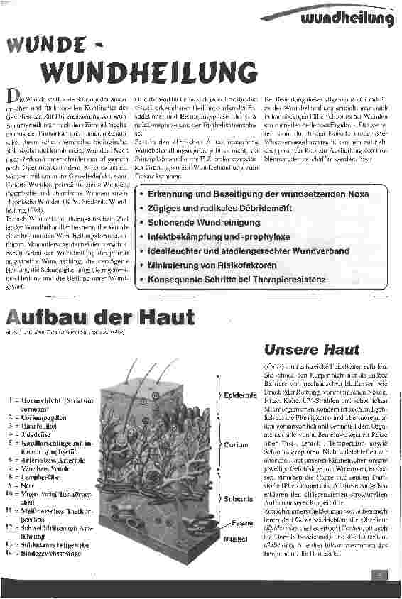 Vorschauseite 1: Wunde - Wundheilung
