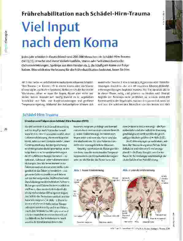 Vorschauseite 1: Frührehabilitation nach Schädel-Hirn-TraumaViel Input nach dem Koma
