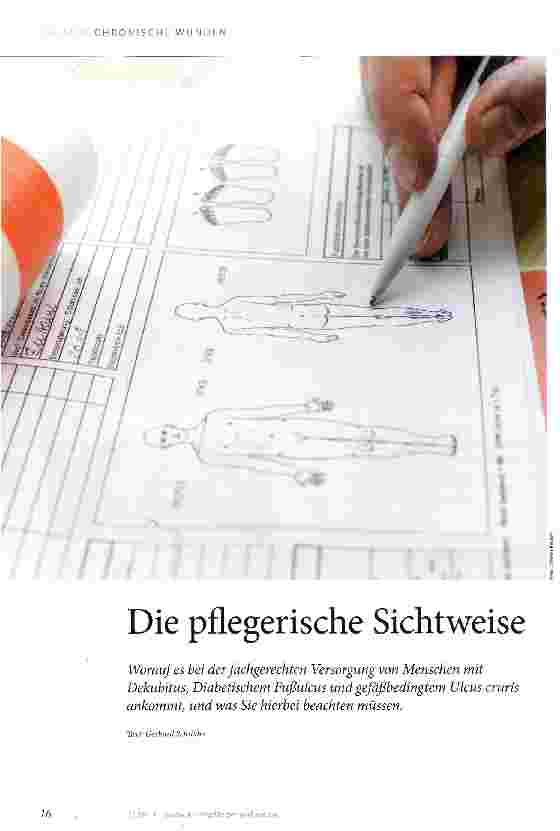 Vorschauseite 1: Die pflegerische Sichtweise