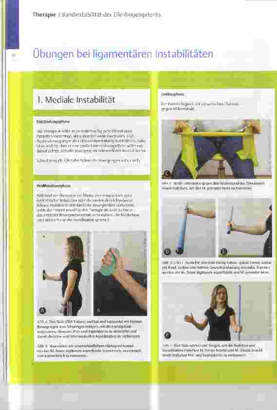 Vorschauseite 1: Übungen bei ligamentären Instabilitäten
