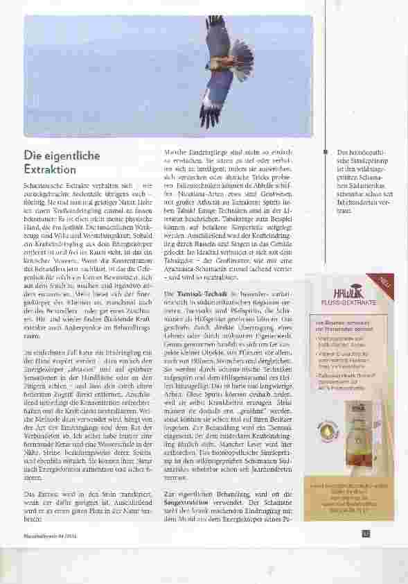 Vorschauseite 3: Die schamanische Extraktionstechnik