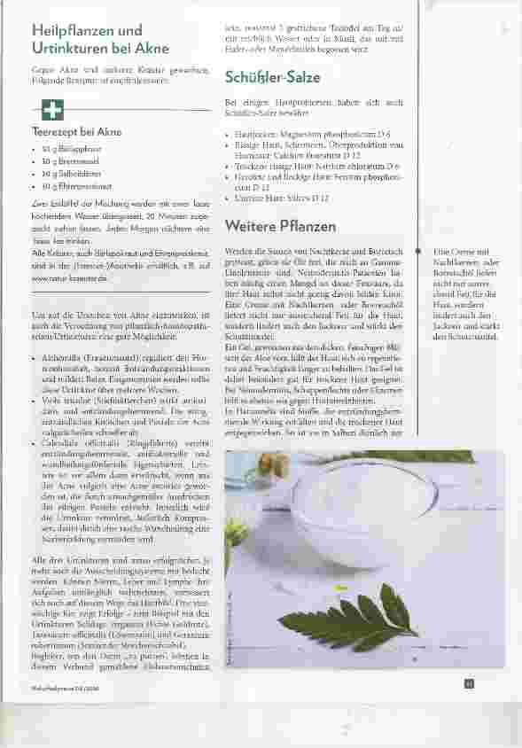 Vorschauseite 3: Chronische Hautleiden Phytotherapie und Cremes