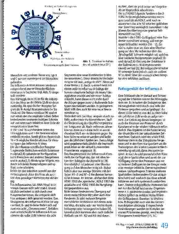 Vorschauseite 2: Neue Viruskrankheiten des Menschen - emerging diseases: am Beispiel der Vogelgrippe