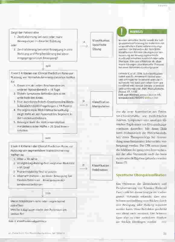 Vorschauseite 2: Subgruppenklassifizierung bei unspezifischen Beschwerden im unteren Rückenbereich