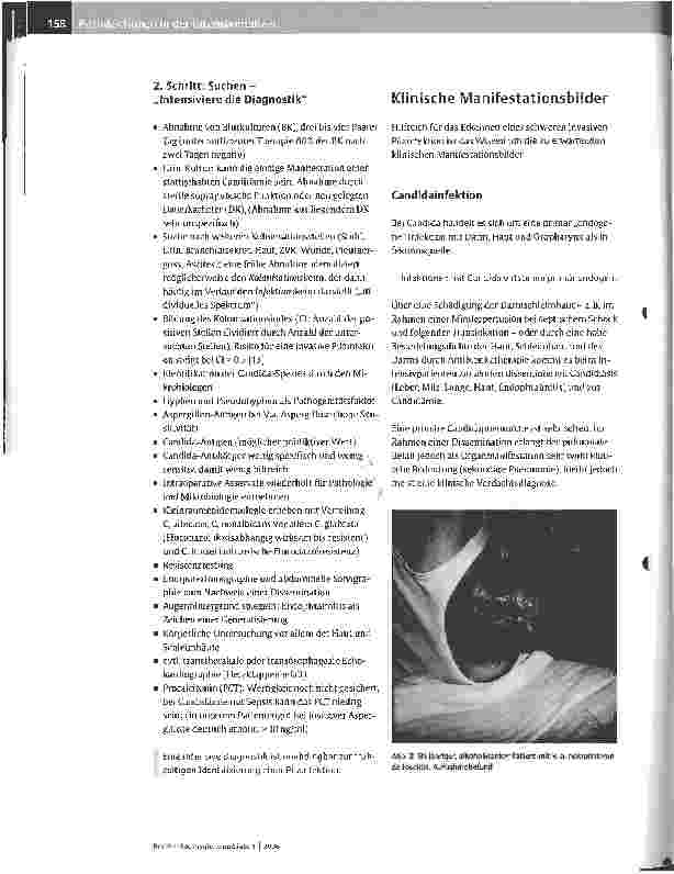 Vorschauseite 6: Pilzinfektionen in der Intensivmedizin