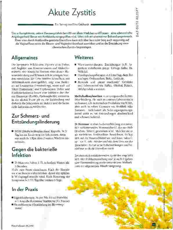 Vorschauseite 1: Akute Zystitis