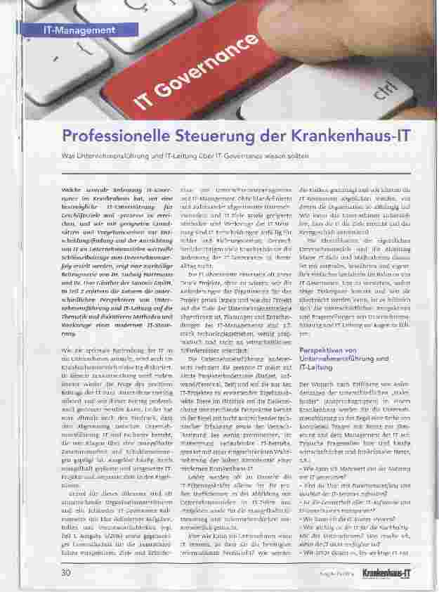 Vorschauseite 1: Was Unternehmensführung und IT-Leitung über IT-Governance wissen sollten