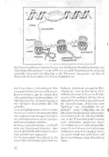 Vorschauseite 2: Gentechnologie in der politischen Auseinandersetzung