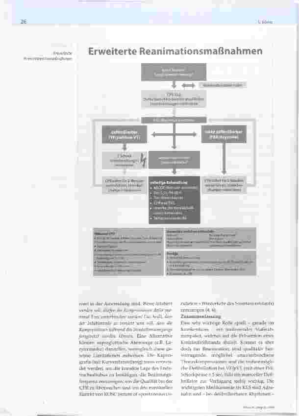Vorschauseite 5: ERC Leitlinien 2015- Was muss das Pflegepersonal wissen?