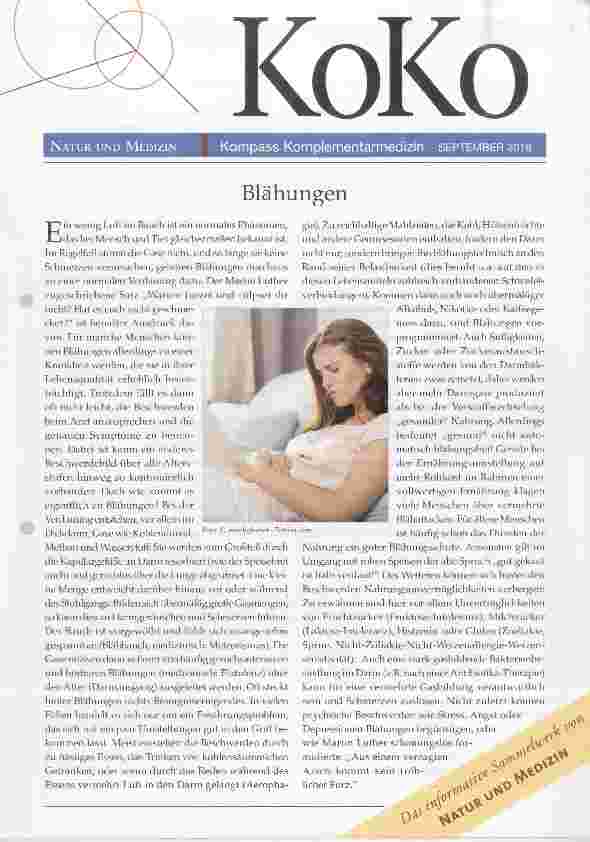 Vorschauseite 1: Blähungen