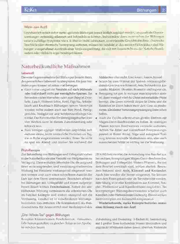 Vorschauseite 2: Blähungen